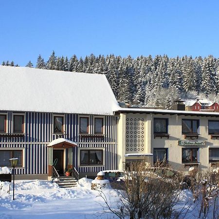 Haus Gruene Insel - Ferienwohnungen อัลเทอเนา ภายนอก รูปภาพ