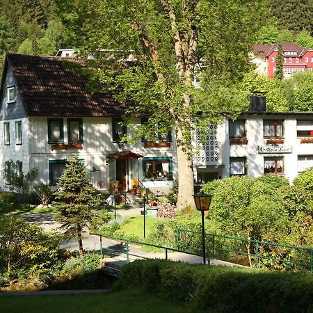 Haus Gruene Insel - Ferienwohnungen อัลเทอเนา ภายนอก รูปภาพ