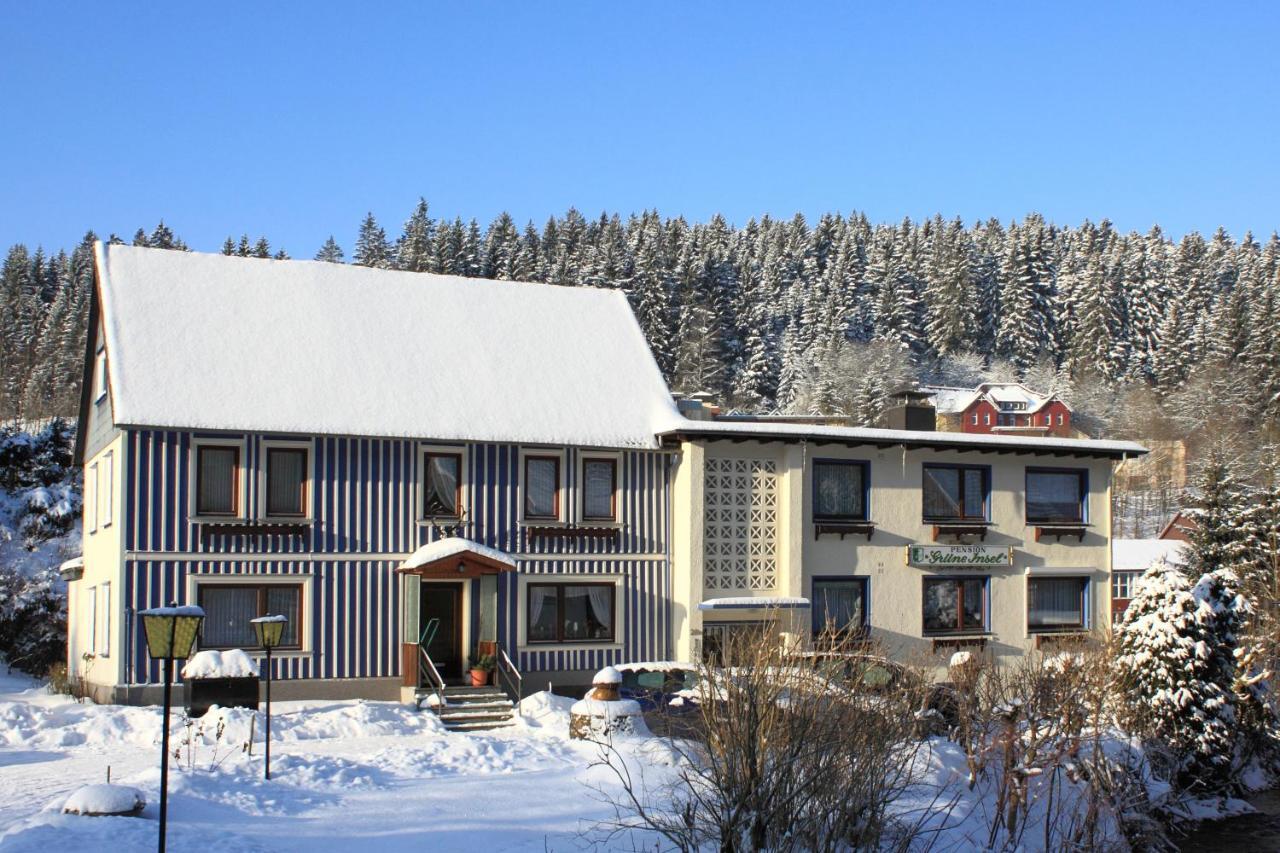Haus Gruene Insel - Ferienwohnungen อัลเทอเนา ภายนอก รูปภาพ