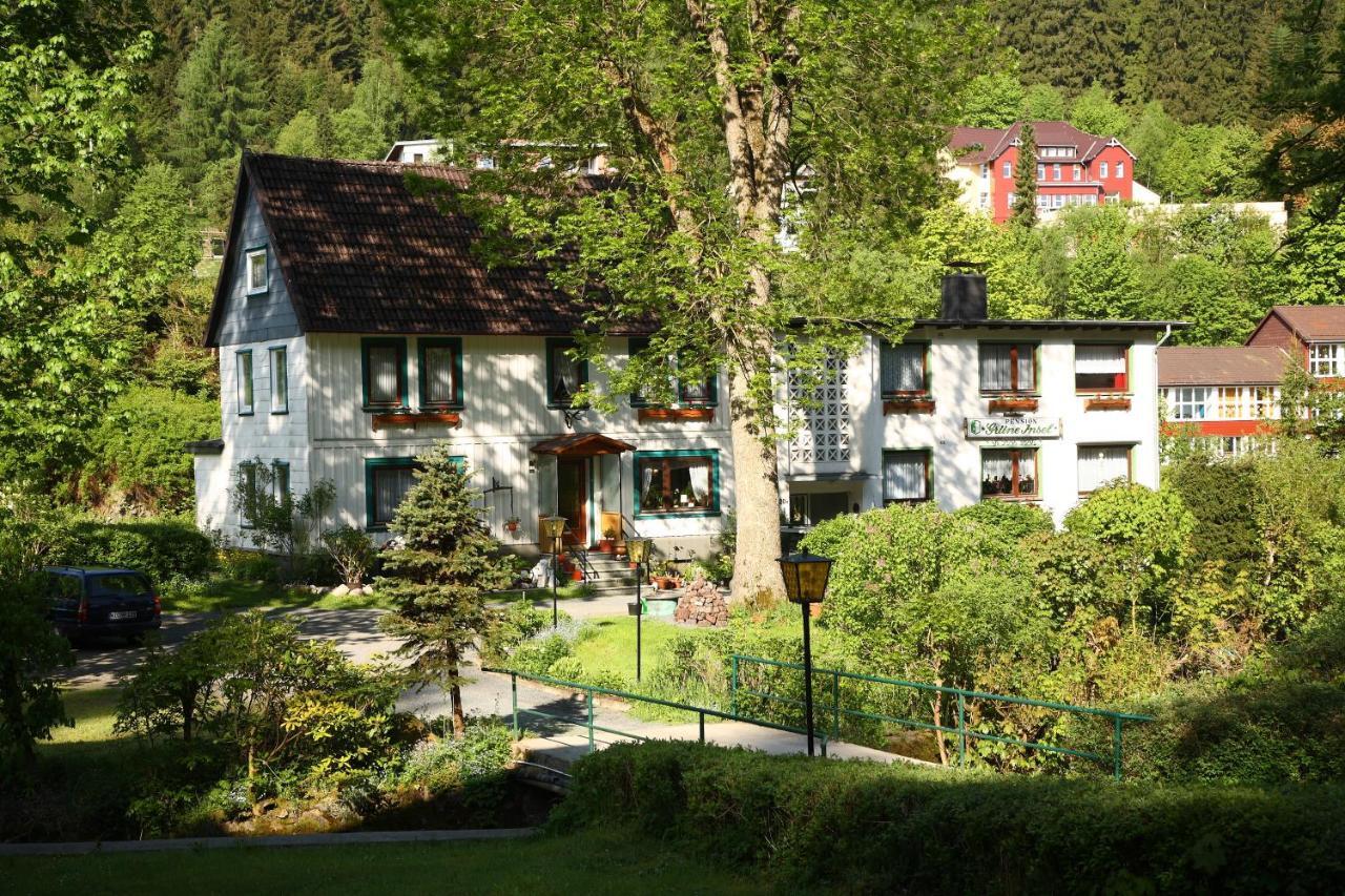 Haus Gruene Insel - Ferienwohnungen อัลเทอเนา ภายนอก รูปภาพ