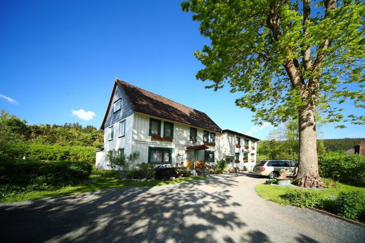 Haus Gruene Insel - Ferienwohnungen อัลเทอเนา ภายนอก รูปภาพ
