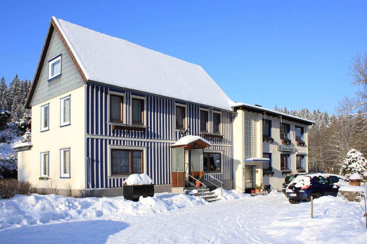 Haus Gruene Insel - Ferienwohnungen อัลเทอเนา ภายนอก รูปภาพ